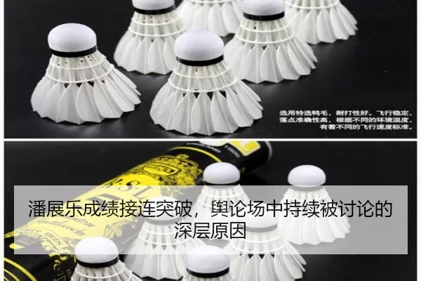 潘展乐成绩接连突破，舆论场中持续被讨论的深层原因